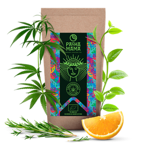 Guayusa Pachamama Cannabis – organiczna – 100g